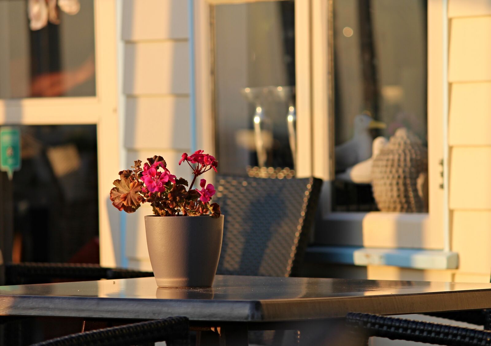 Canon EOS 1100D (EOS Rebel T3 / EOS Kiss X50) sample photo. Evening light, beach bar photography