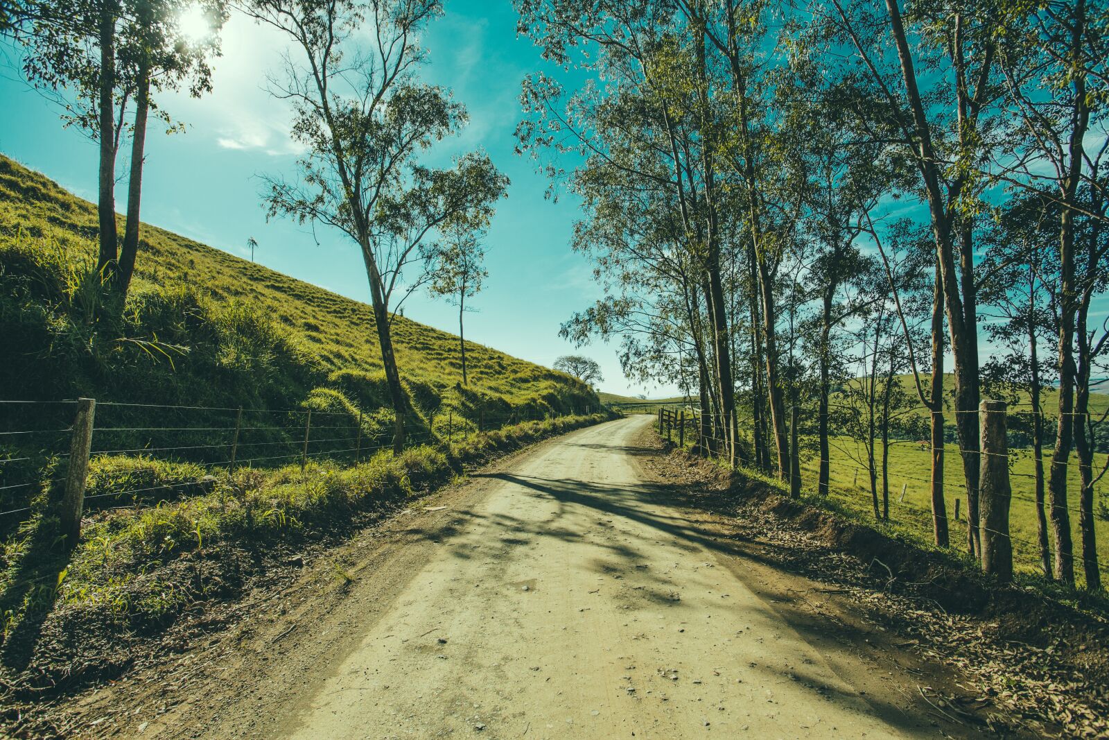 Canon EOS 6D + Canon EF 17-40mm F4L USM sample photo. Tree, road, landscape photography