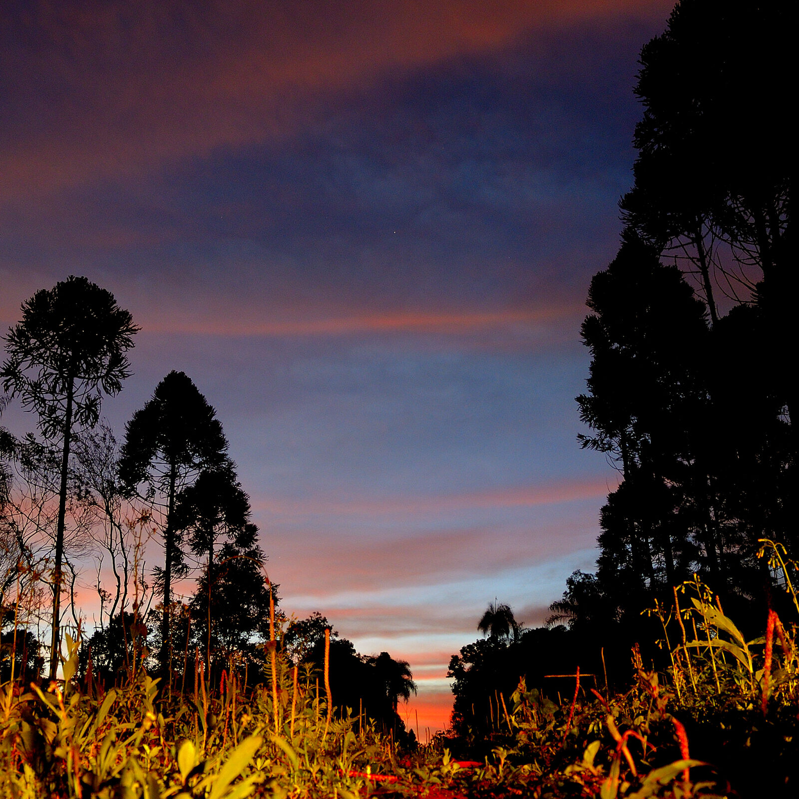 Nikon D5100 sample photo