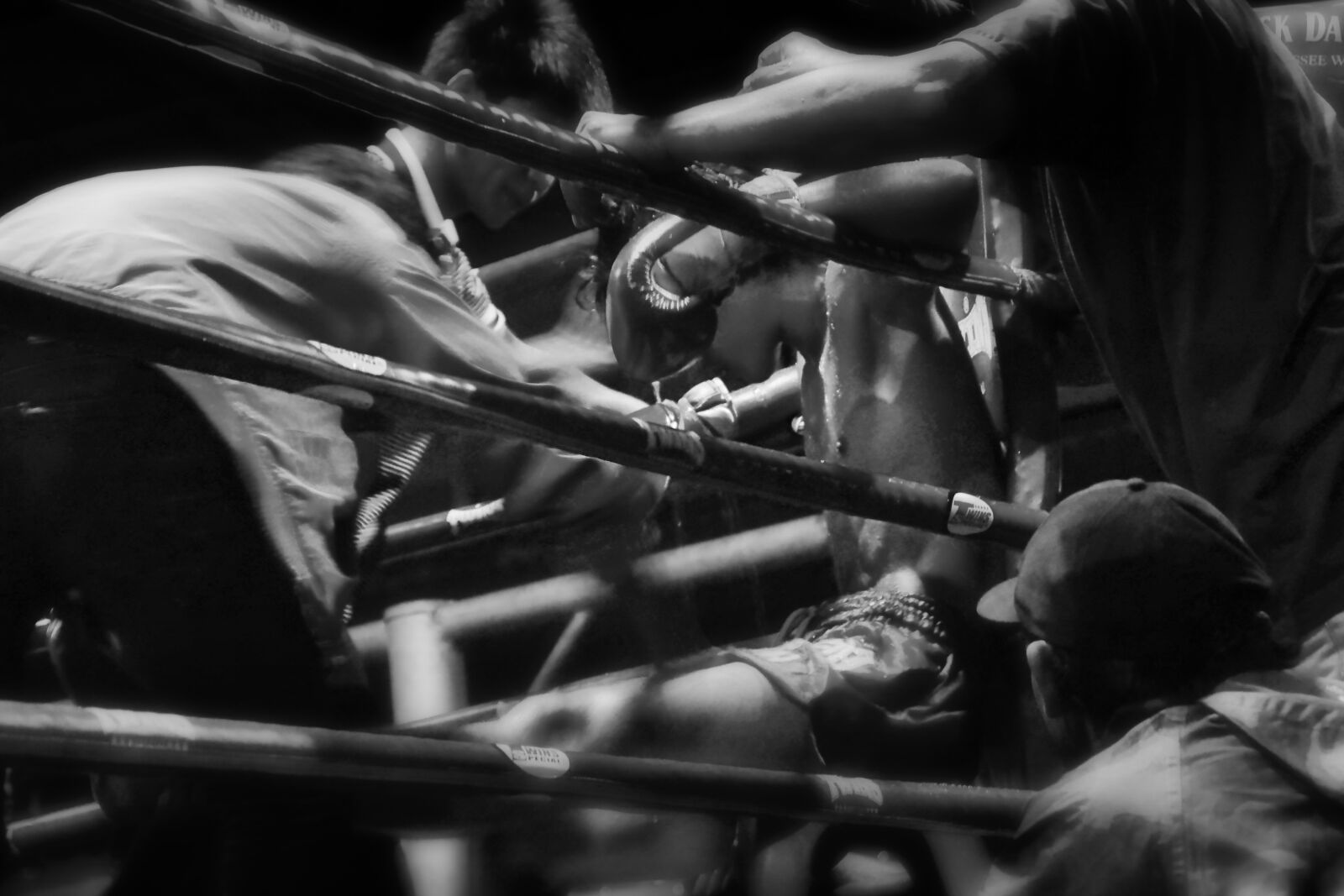 Nikon D3100 sample photo. Sport, combat, fight photography