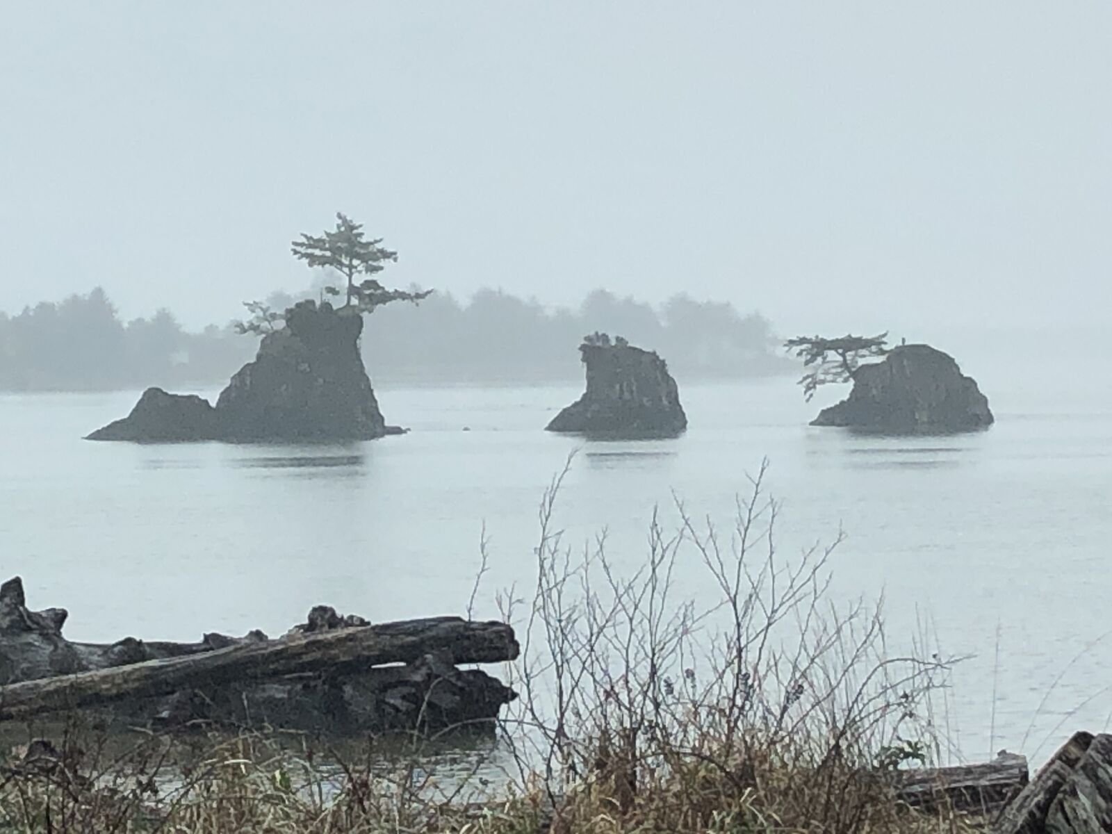 Apple iPhone 8 sample photo. Oregon, coast, fog photography