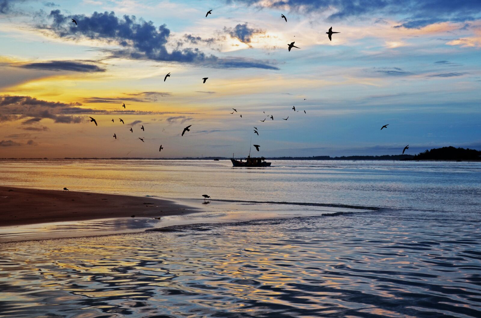 Nikon D7000 sample photo. Sea, birds, sunrise photography