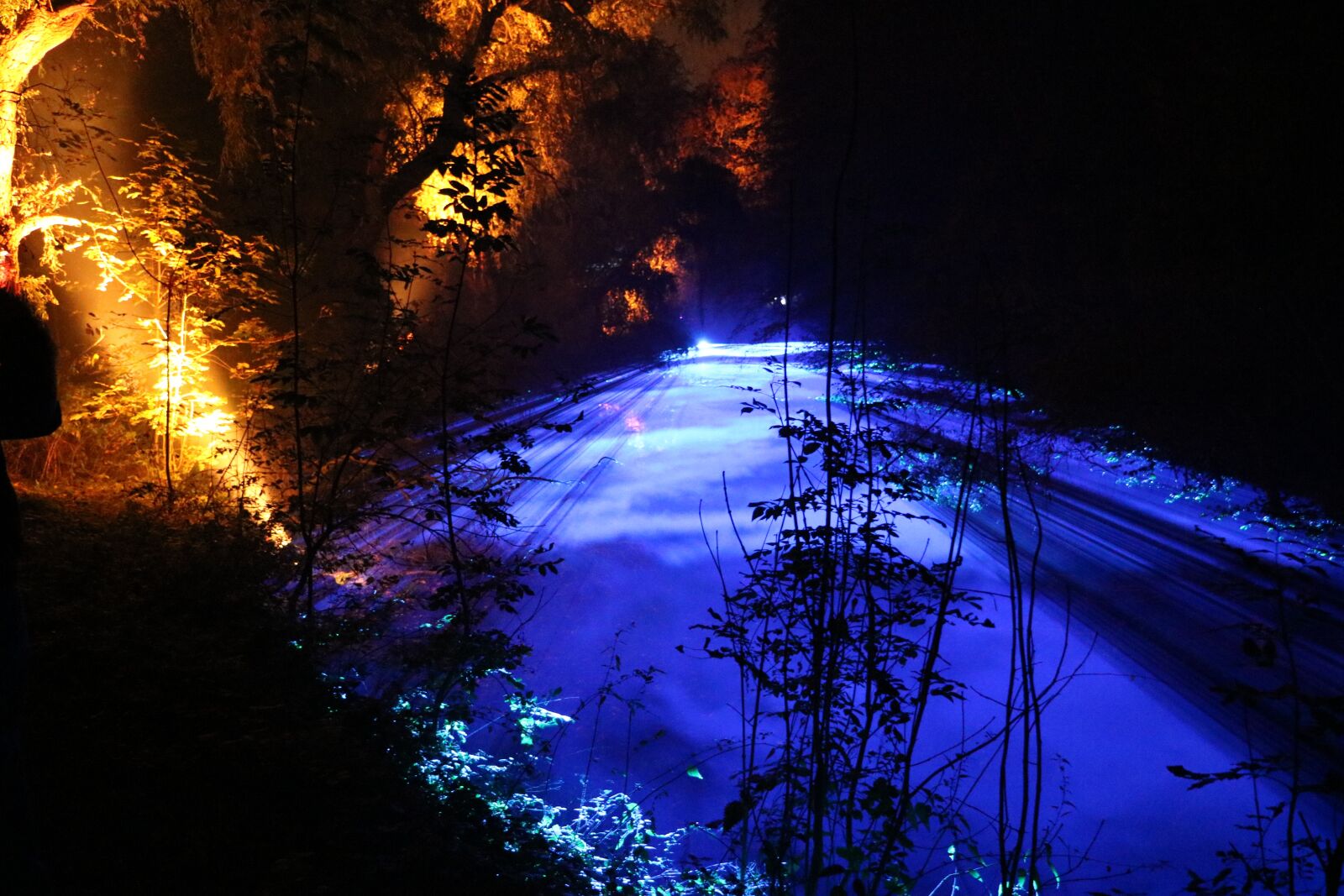 Canon EOS 750D (EOS Rebel T6i / EOS Kiss X8i) sample photo. Light, show, forest photography