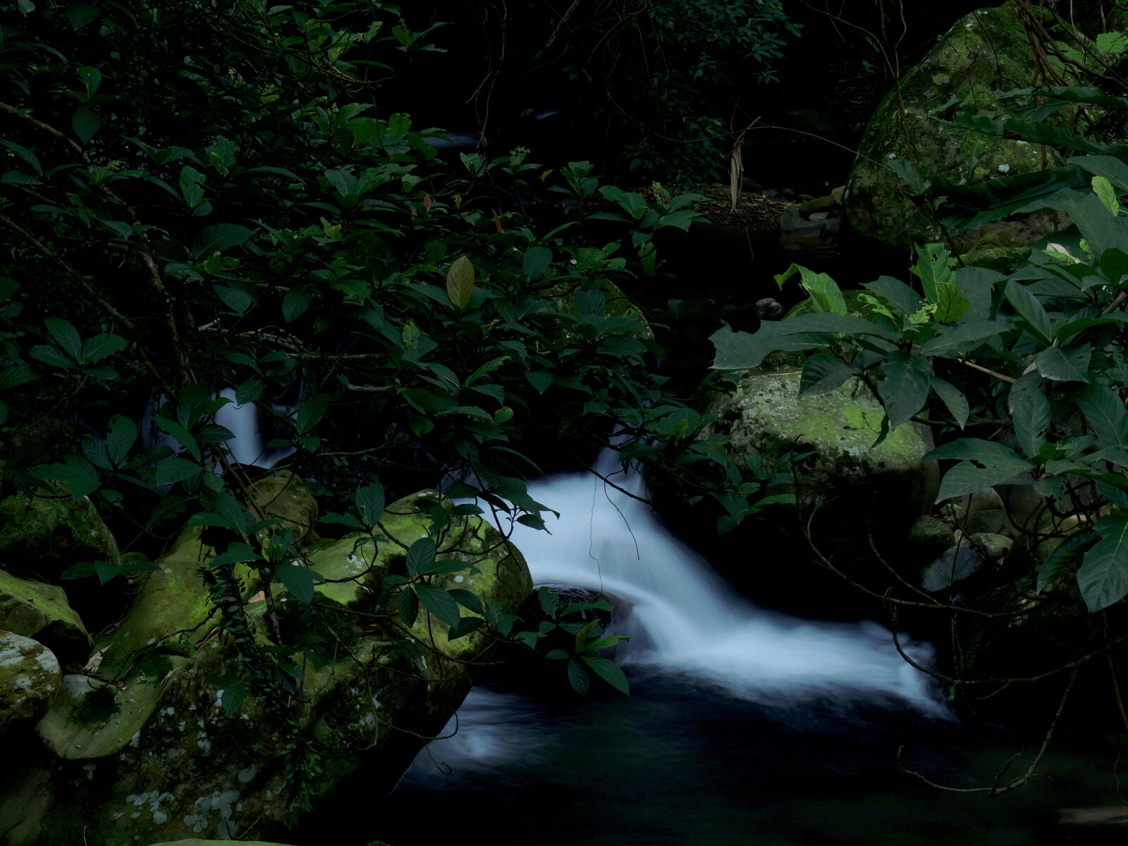 Nikon Coolpix P510 sample photo. Waterfalls, near, green, leafed photography