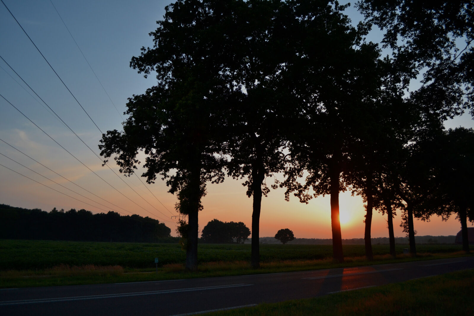Nikon D3100 sample photo. Golden, hour, nature, sunset photography