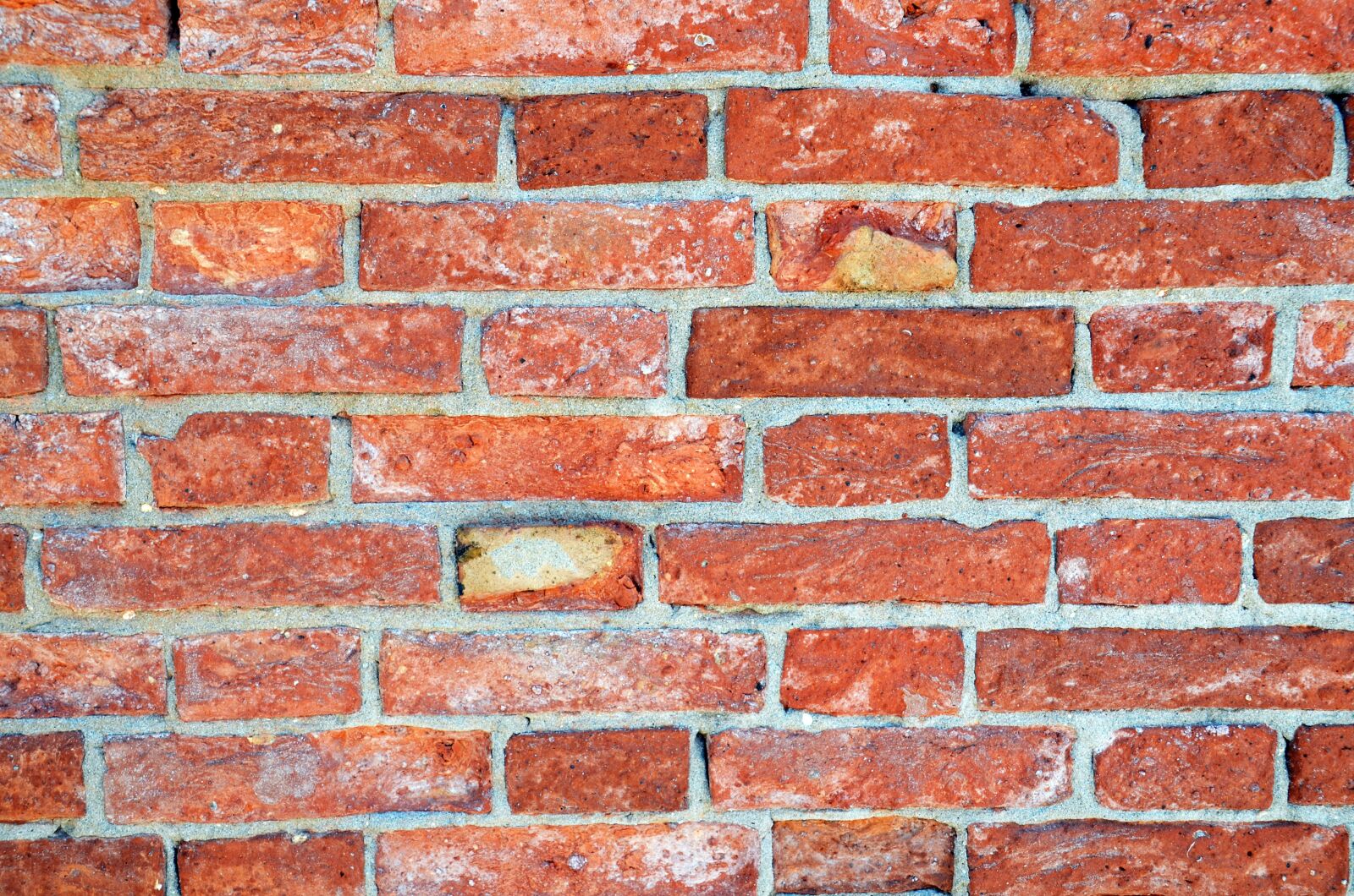 Nikon D7000 sample photo. Wall, structure, background photography