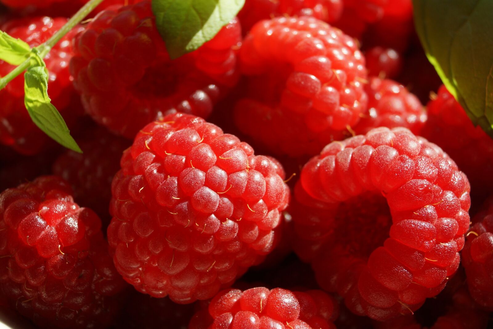 Sony SLT-A65 (SLT-A65V) sample photo. Fruit, raspberries, healthy photography