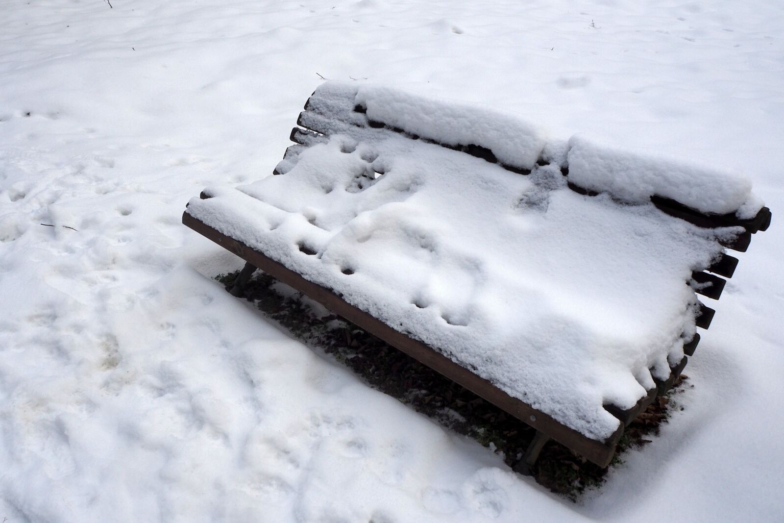 Olympus OM-D E-M10 II sample photo. Bench, winter, snow photography