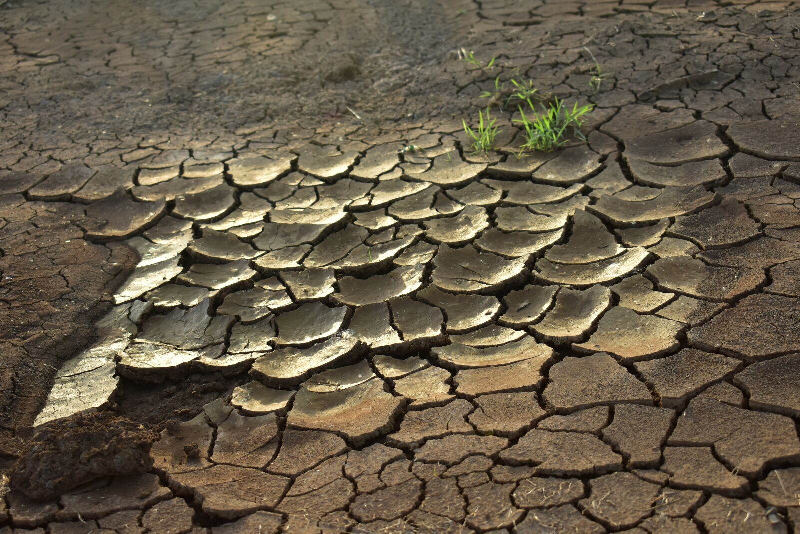 Nikon D3400 sample photo. Drought, dry mud, cracked photography
