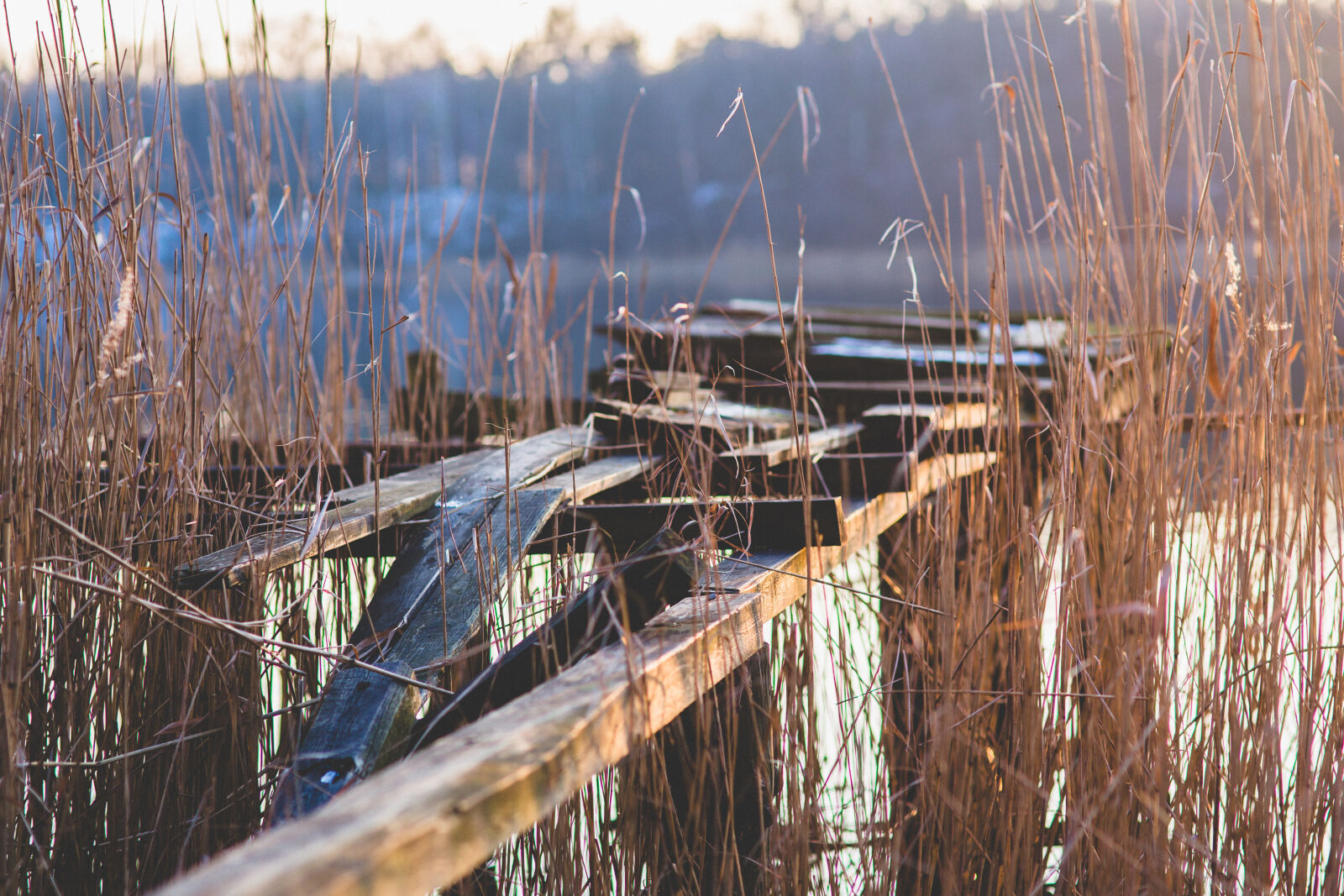 Sigma 85mm F1.4 EX DG HSM sample photo. Old, broken, pier, on photography