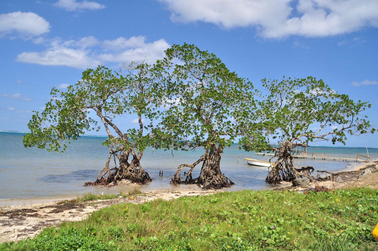 Nikon D5000 sample photo. Roaton, honduras, vacations photography