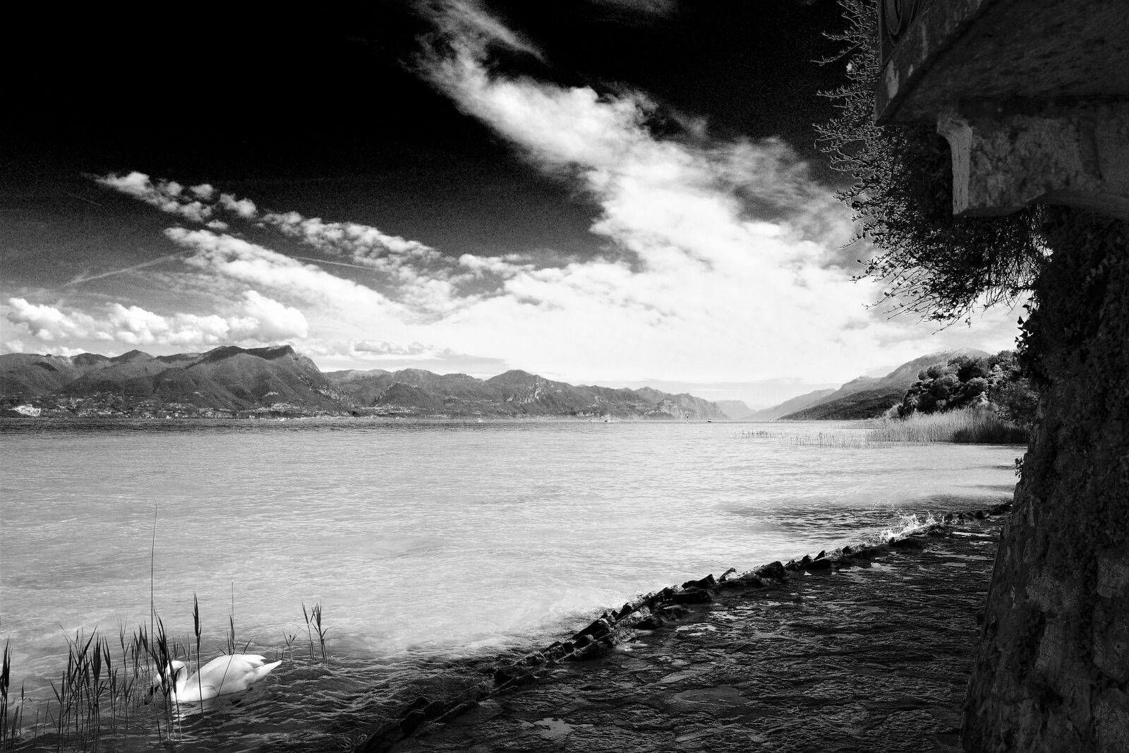 Ricoh GR III sample photo. Garda, italy, sirmione photography