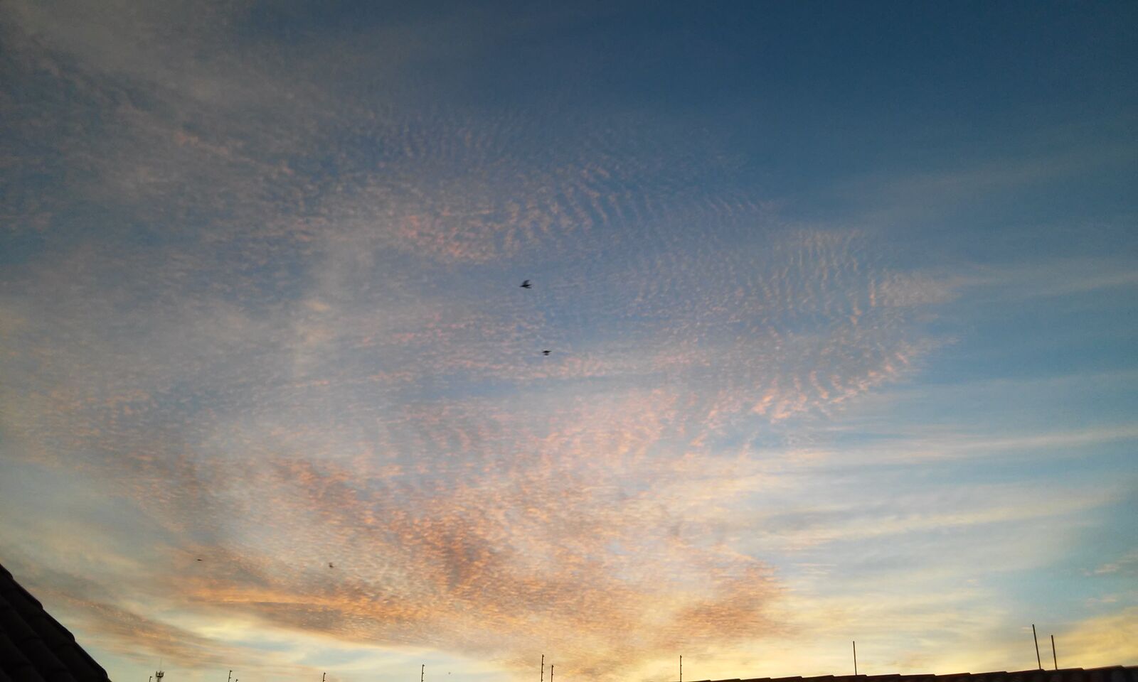 LG L70 sample photo. Birds, clouds, sky, sunset photography