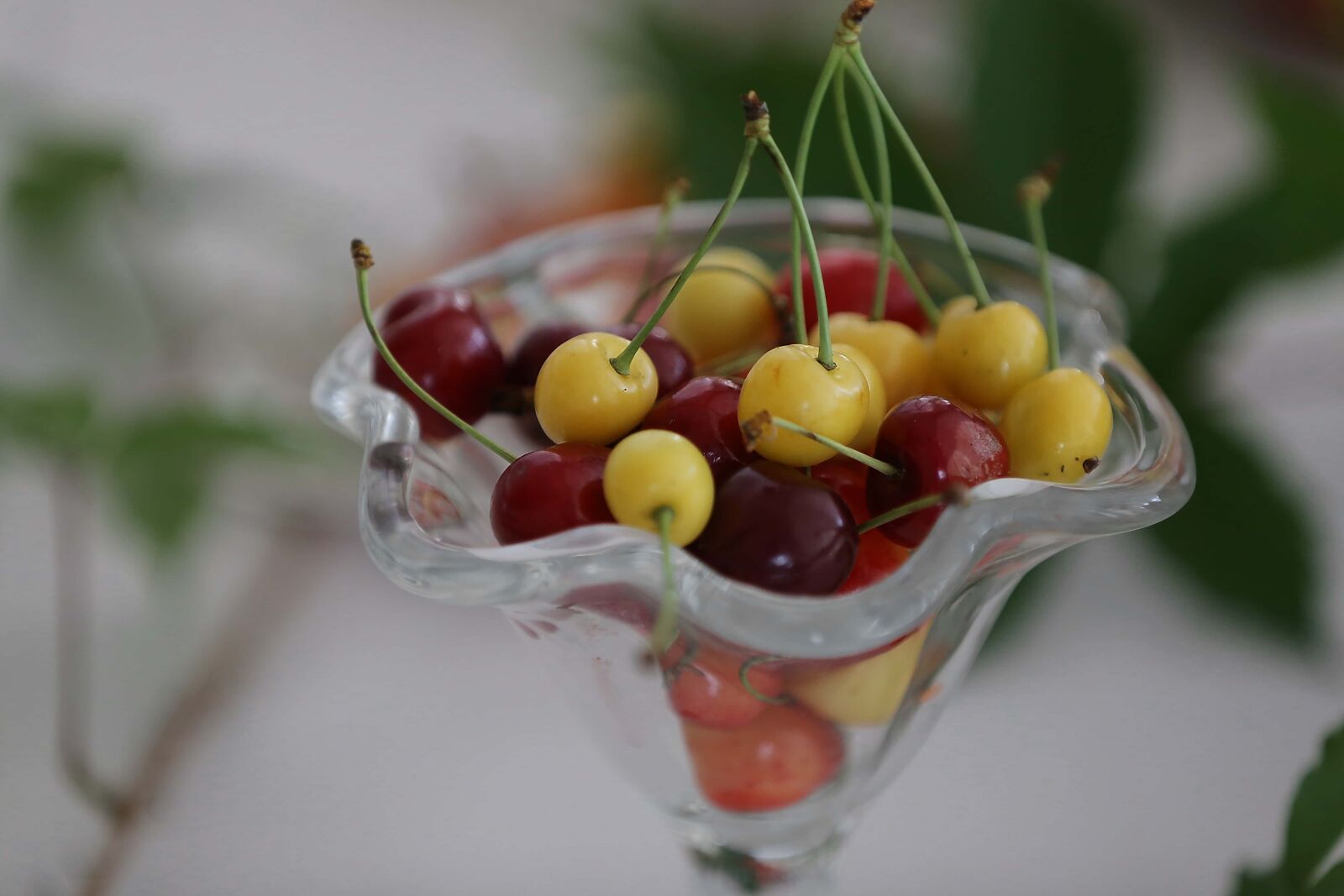 Canon EF 70-200mm F2.8L IS II USM sample photo. Cherries, yellowish, dessert, cranberry photography