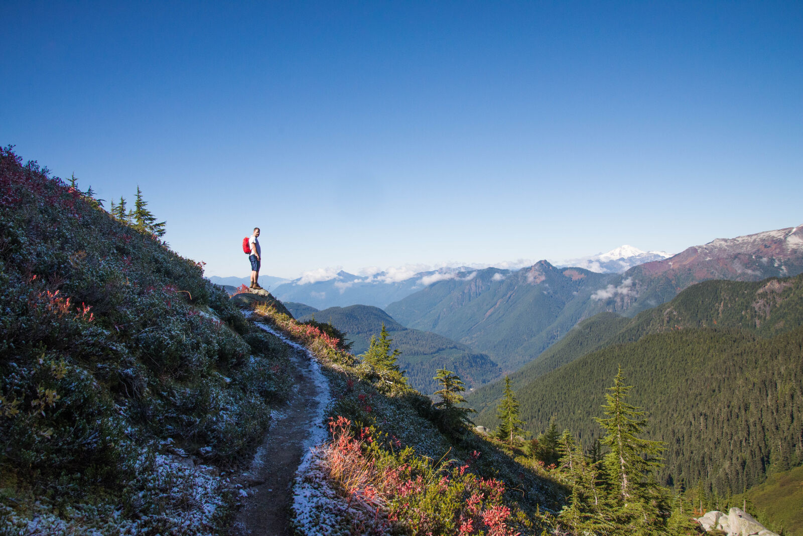 Nikon D610 sample photo. Adventure, cliffs, climb, conifer photography