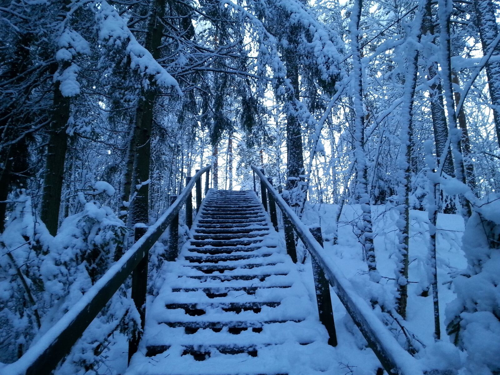 Samsung Galaxy S3 sample photo. Snow, forest, path photography