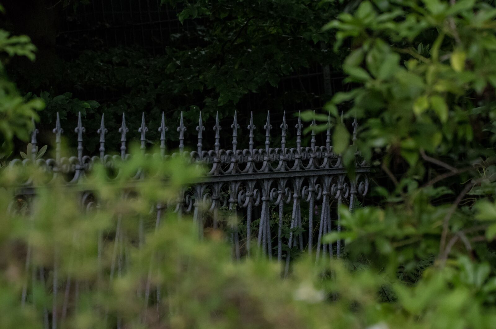 Pentax K-3 sample photo. Fence, wrought iron, metal photography