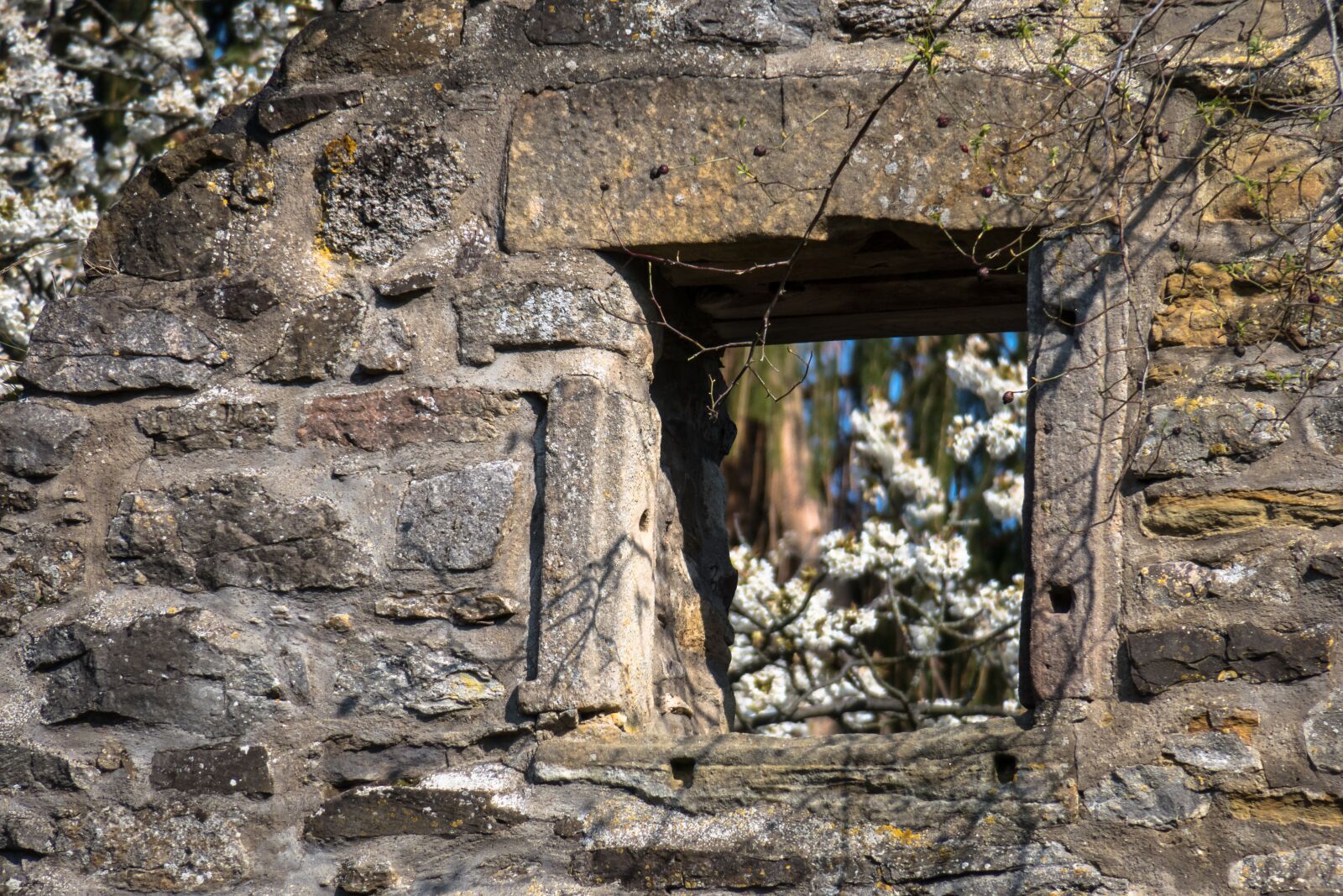 Canon PowerShot G3 X sample photo. Window, ruin, castle photography