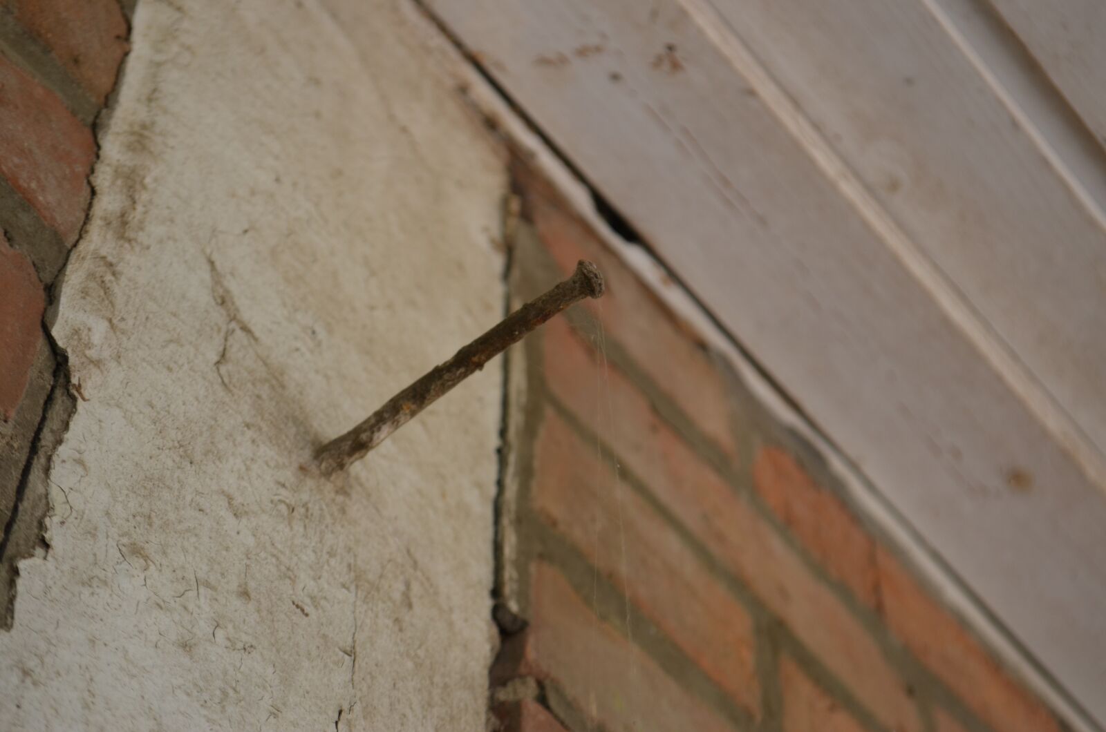 Nikon D5100 sample photo. Nail, close up, wood photography