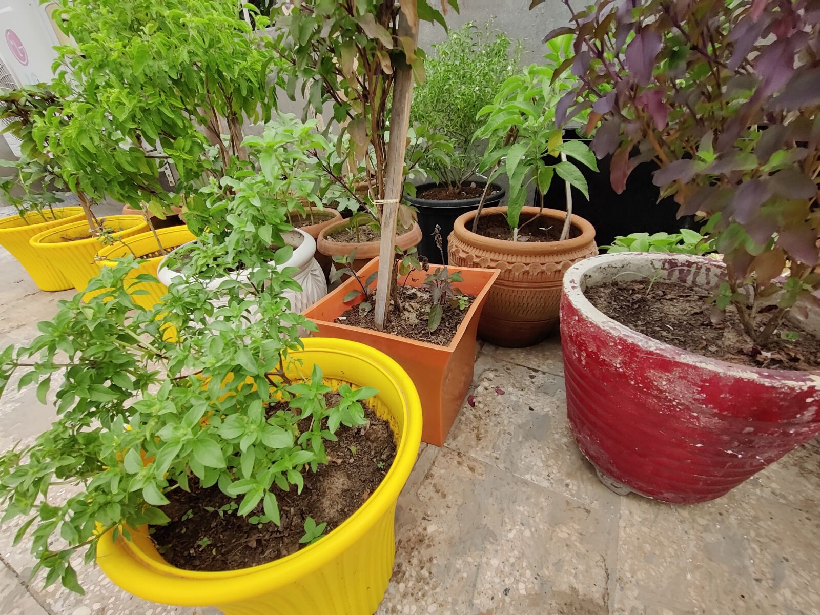 OnePlus AC2001 sample photo. Garden pots, flower pots photography