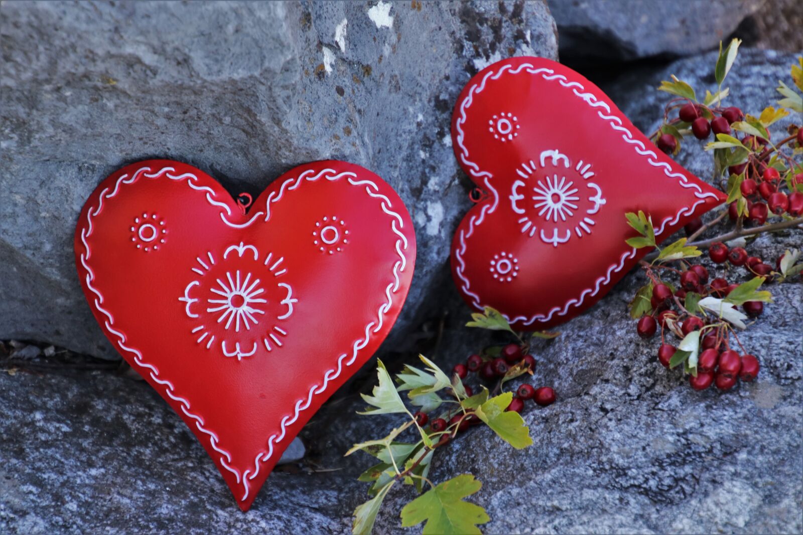 Canon EOS 80D sample photo. Red, heart, feeling photography
