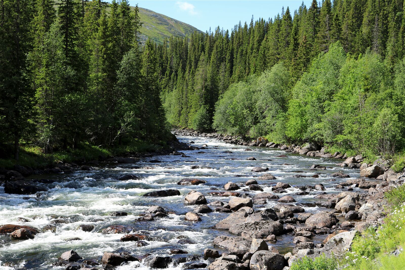Canon EOS 750D (EOS Rebel T6i / EOS Kiss X8i) sample photo. Torrent, nature, water photography