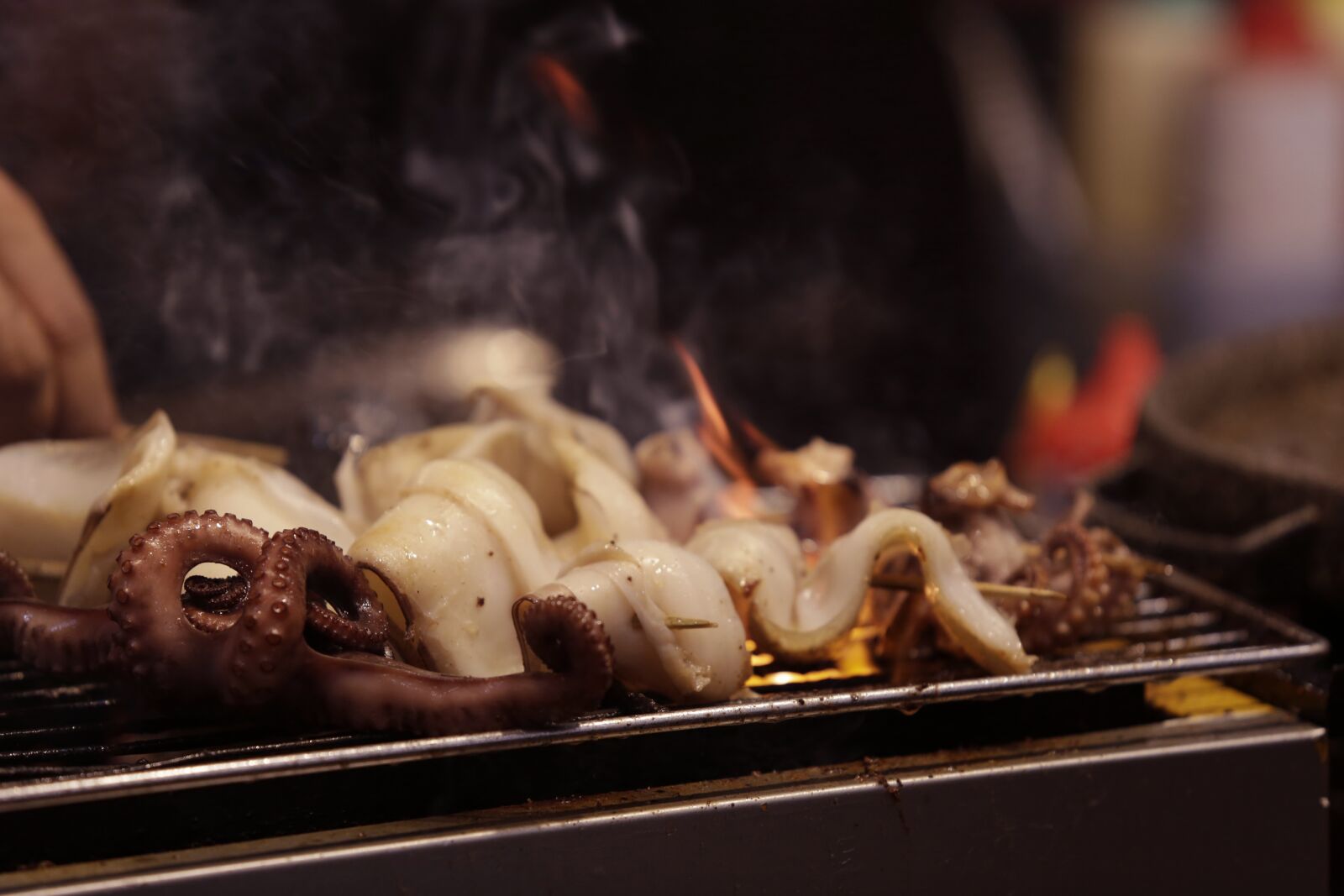 Canon EF 70-200mm F2.8L USM sample photo. Food, squid, seafood photography