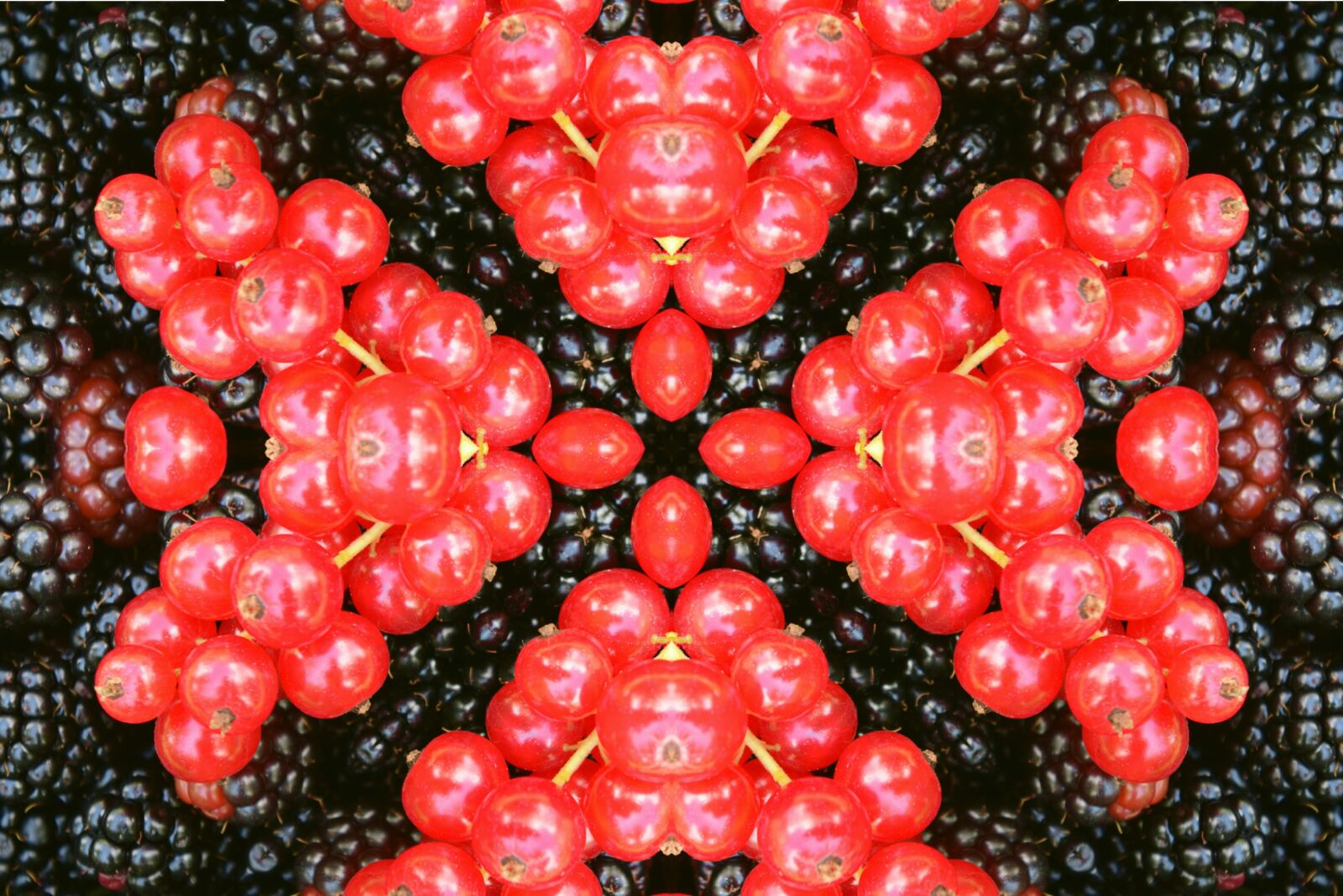 Nikon D3300 sample photo. Rosette, ornament, mandalas photography