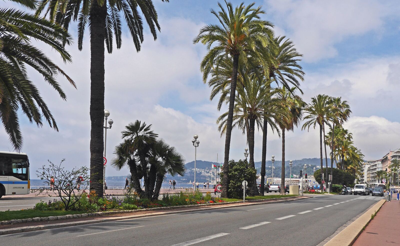 Panasonic Lumix DMC-GH3 sample photo. Palm tree, asphalt, road photography