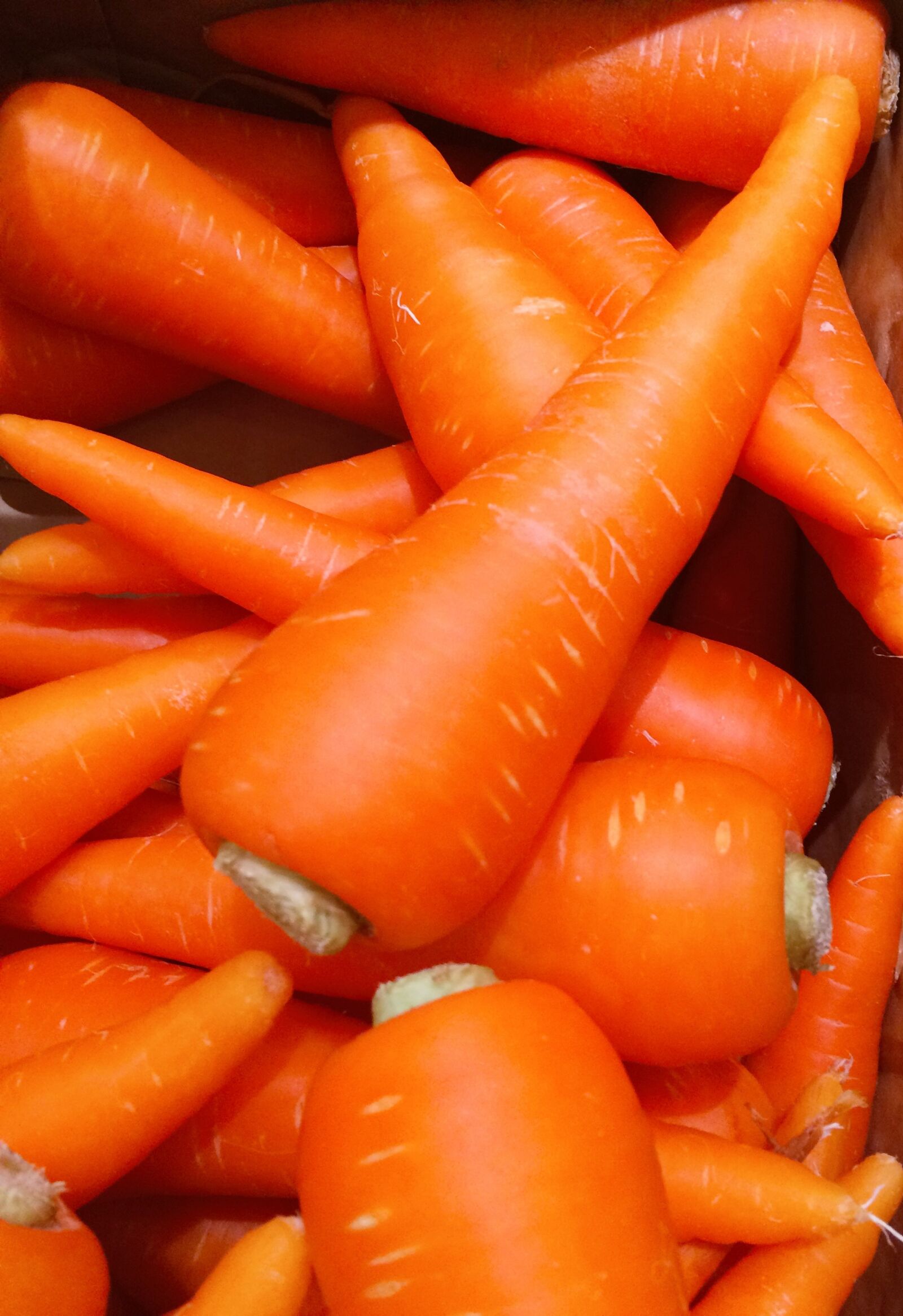 iPhone 5s back camera 4.15mm f/2.2 sample photo. Carrot, orange, seiyu ltd photography