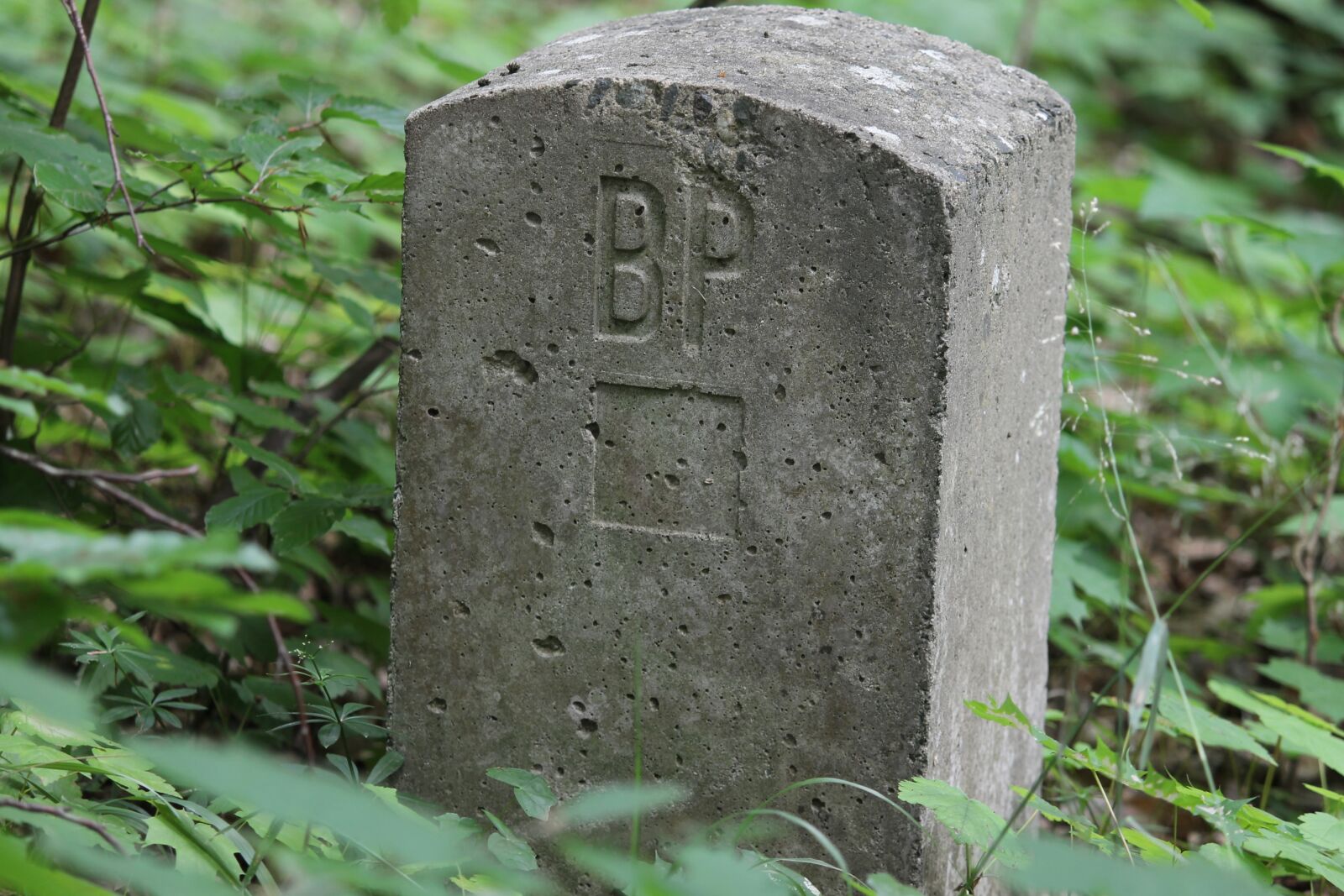 Canon EOS 1100D (EOS Rebel T3 / EOS Kiss X50) sample photo. Landmark, mark, stone photography