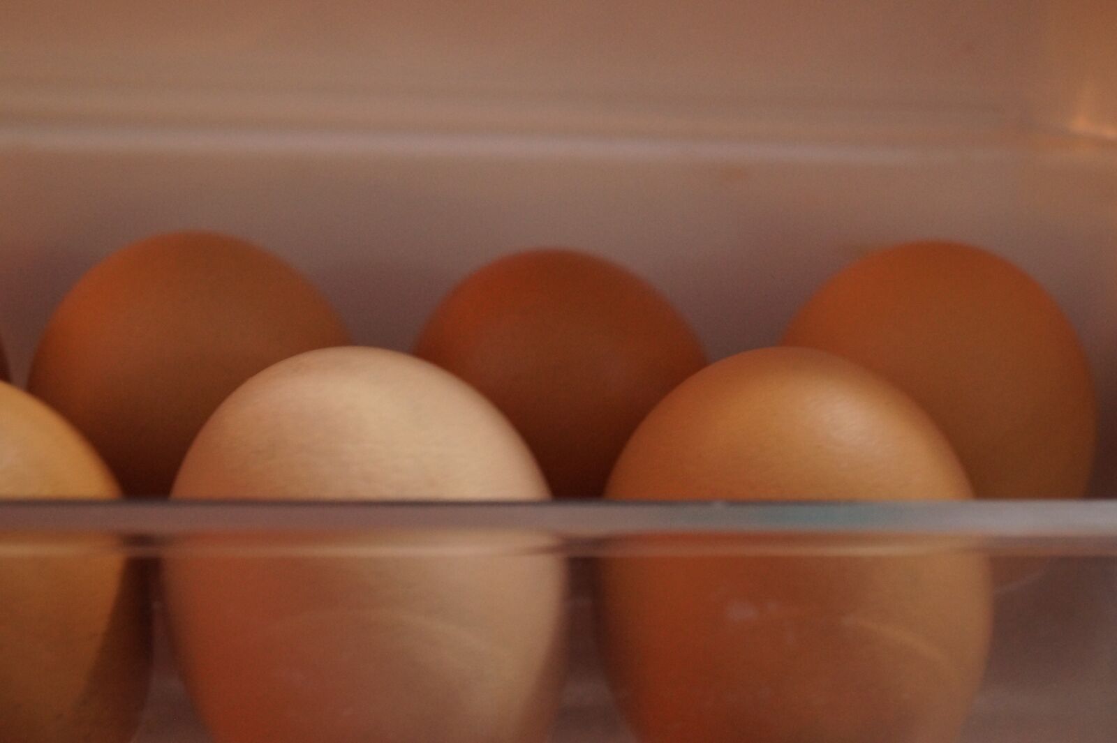 Sony DT 18-55mm F3.5-5.6 SAM II sample photo. Egg, food, easter photography