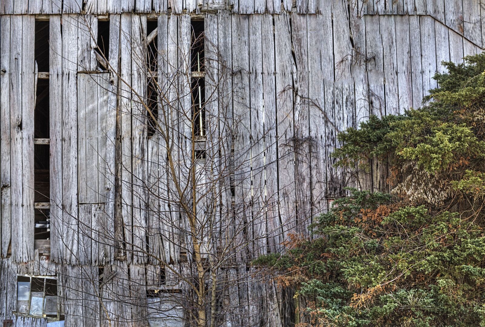 Canon EF 50mm F1.4 USM sample photo. Barn, rustic, barns photography