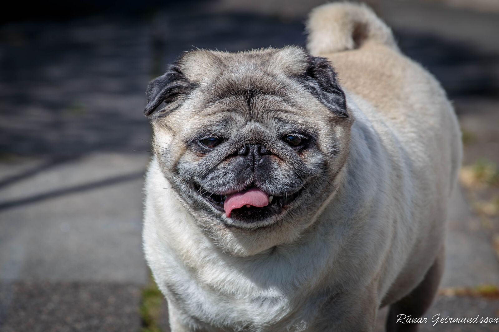 Canon EF 70-200mm F4L USM sample photo