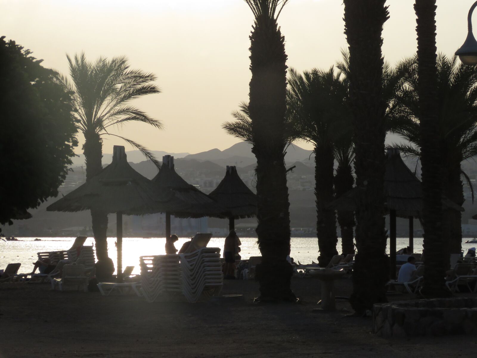 Canon PowerShot SX60 HS sample photo. Eilat, palm tree, tourism photography