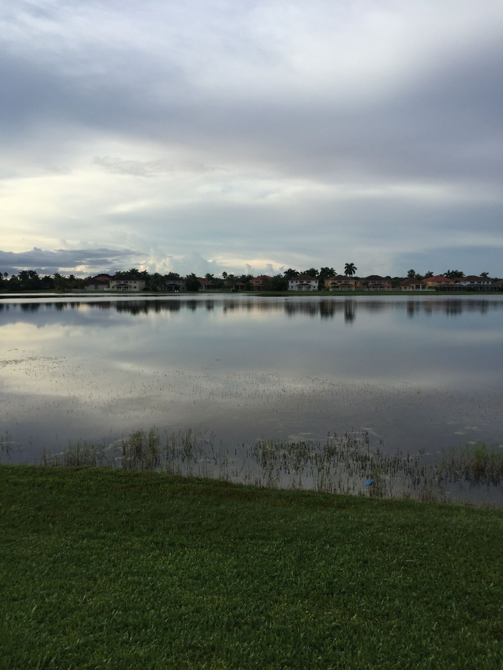 Apple iPhone 6 sample photo. Pond photography