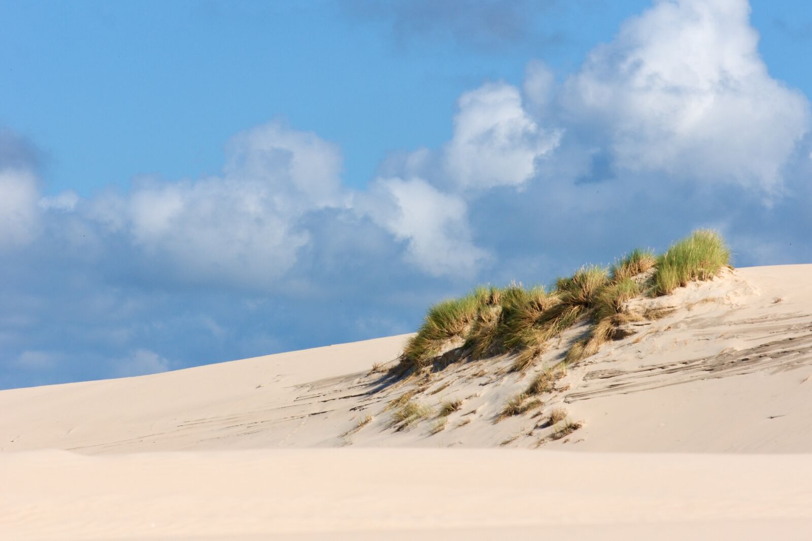 Sony Alpha DSLR-A700 sample photo. Dunes, sand dunes, poland photography