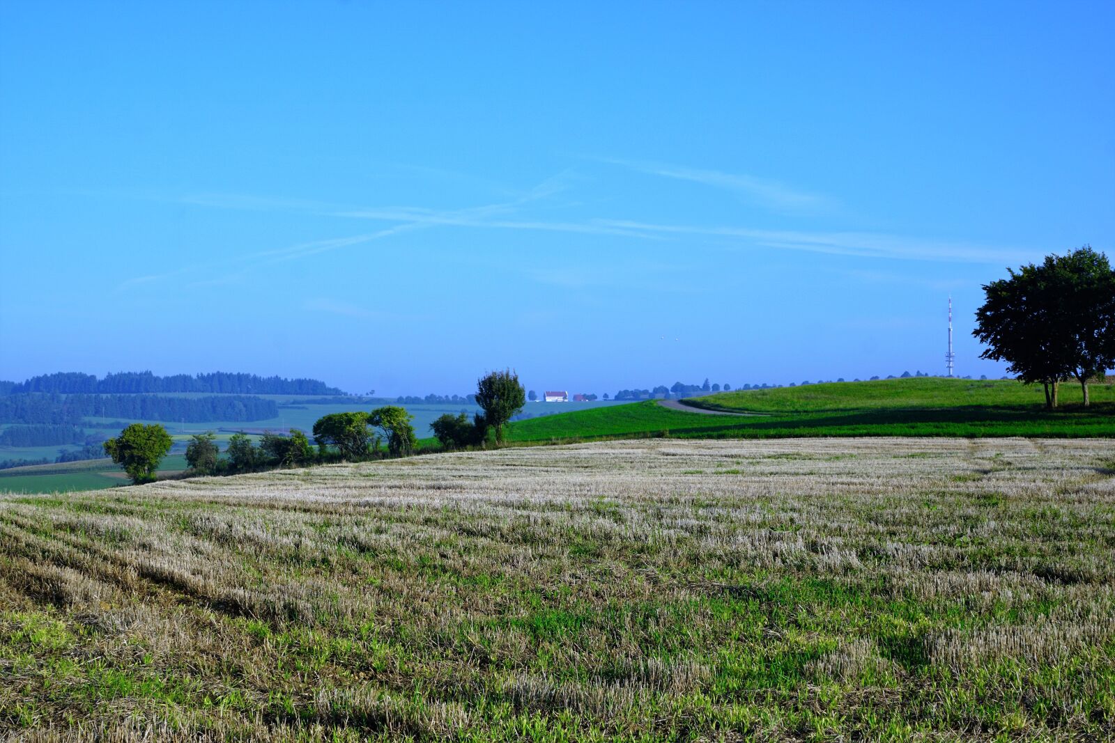 Sony ILCA-77M2 + Sony DT 16-50mm F2.8 SSM sample photo. Field, meadow, emmingen photography