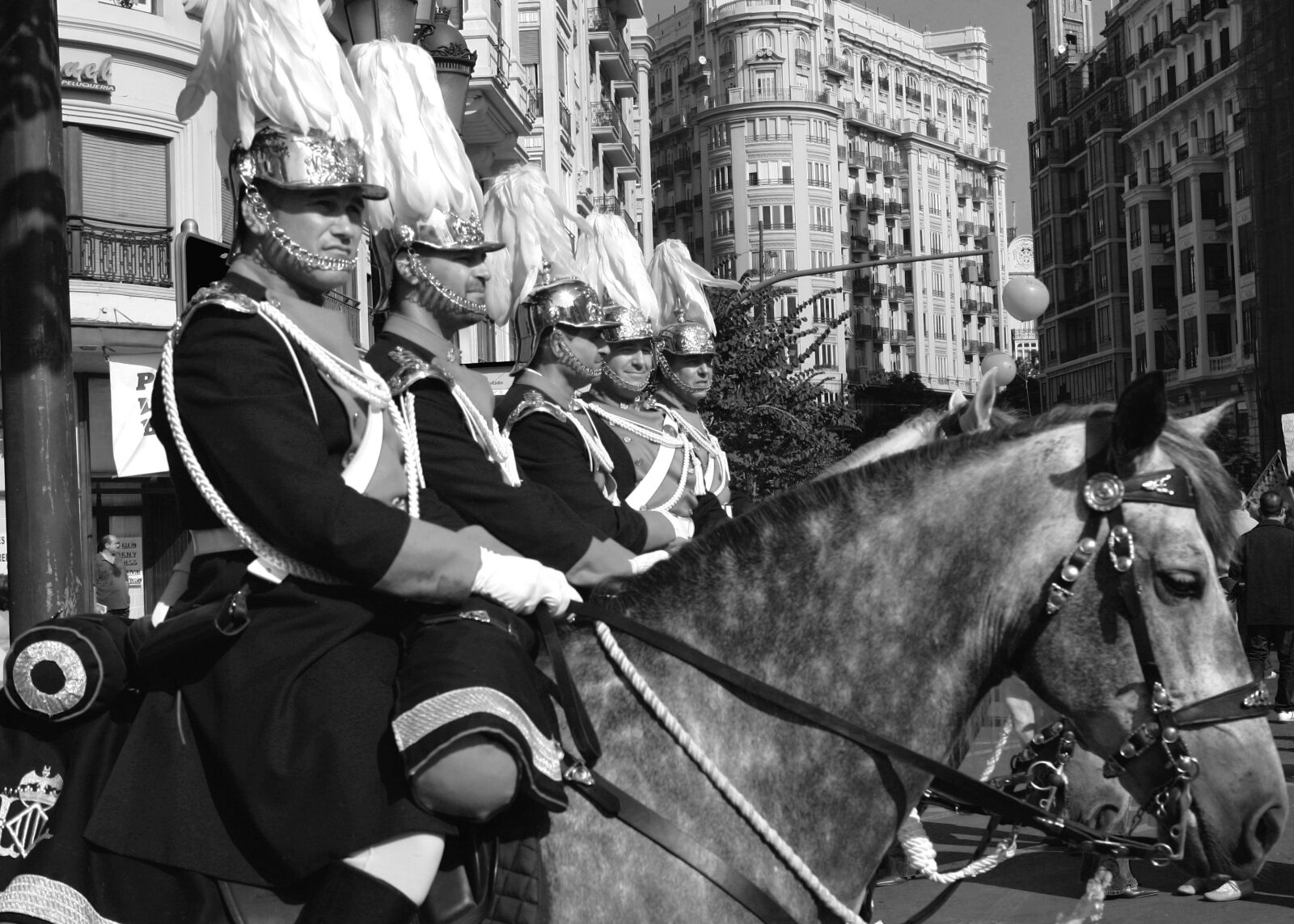Canon EOS-1D Mark II sample photo. Riders, horses, parade photography
