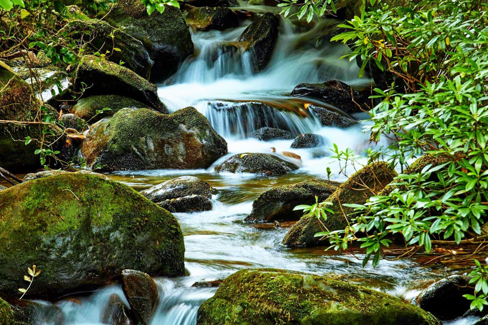 Canon EOS 7D Mark II sample photo. Water, nature, killarney photography