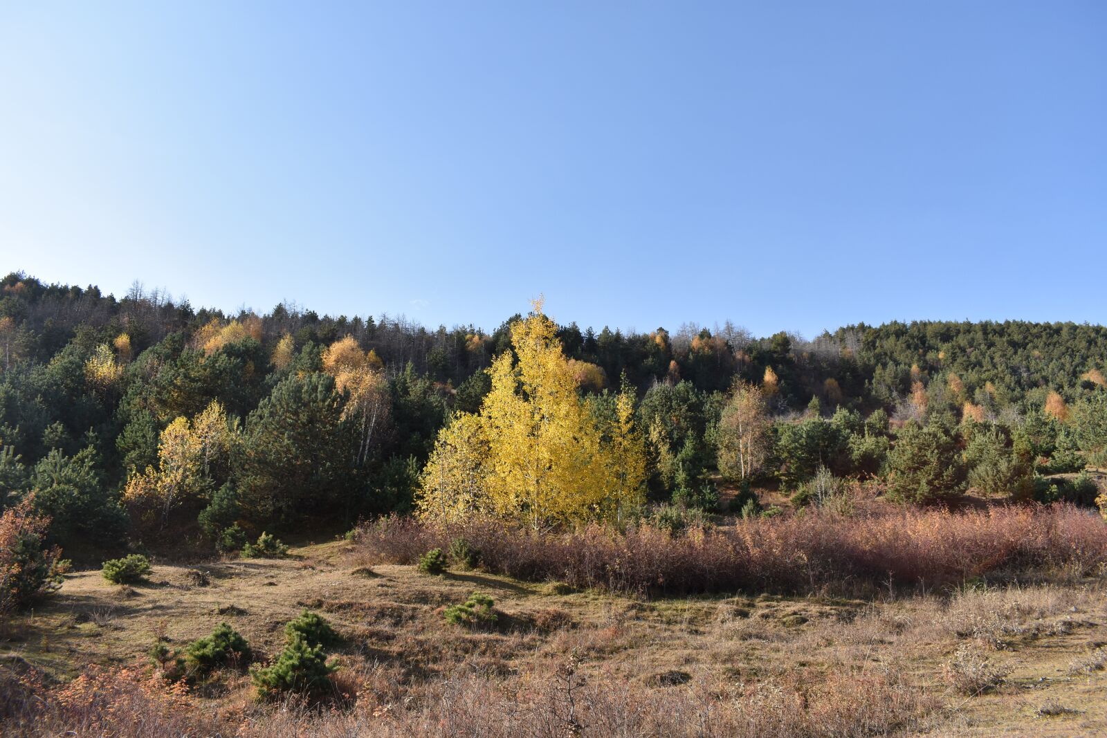 Nikon D3400 sample photo. Landscape, mountains, nature photography