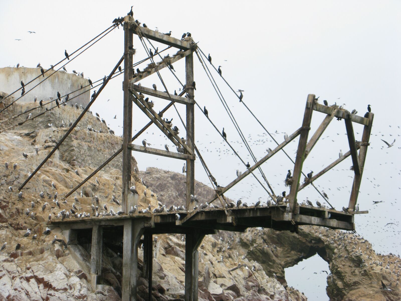 Canon POWERSHOT G9 sample photo. Ballestas islands, pisco, peru photography