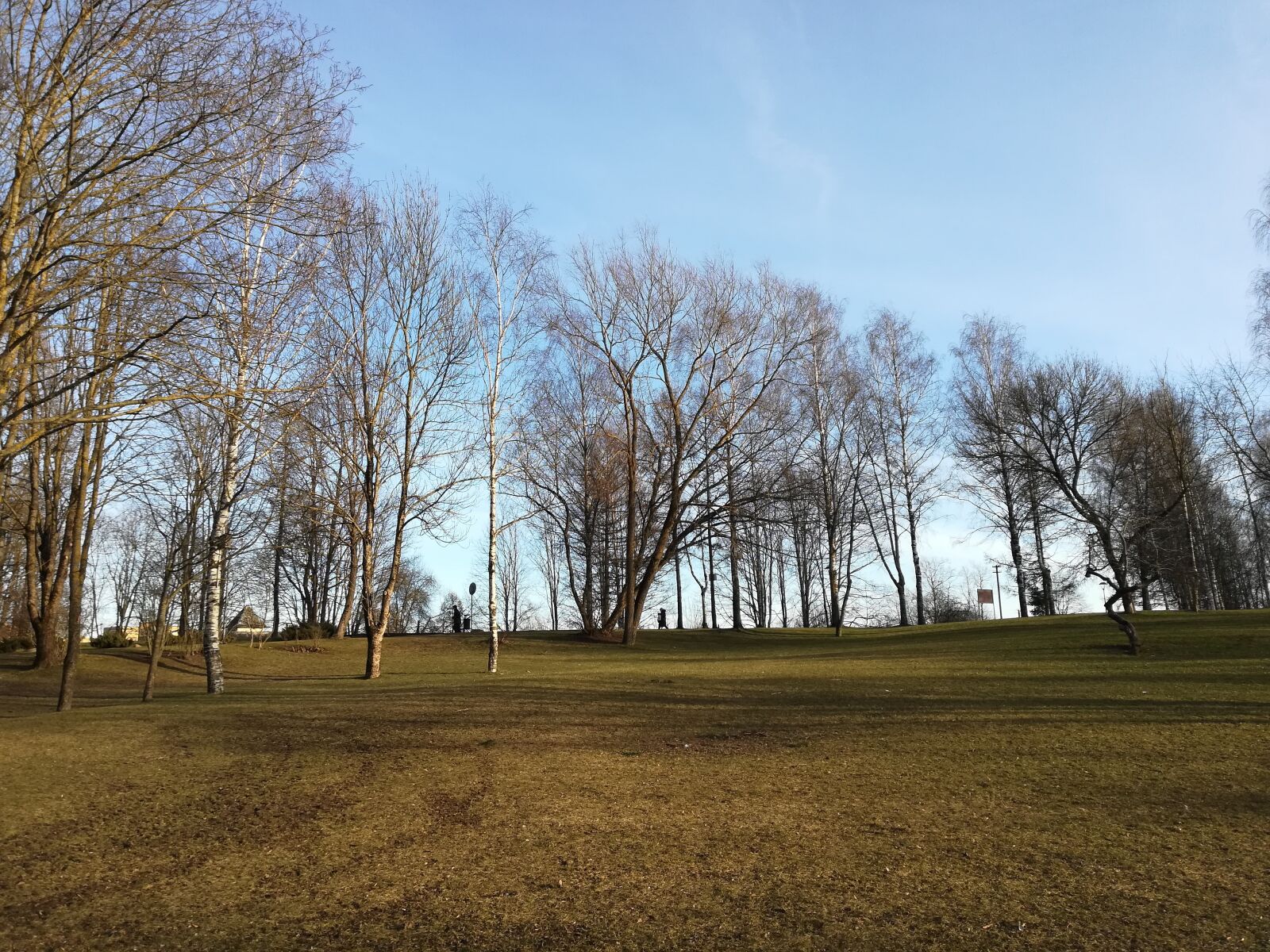 HUAWEI P10 lite sample photo. Field, forest, trees photography