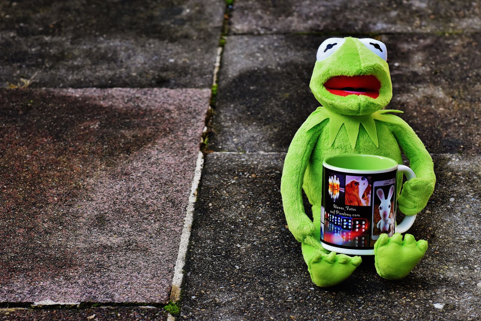 Nikon D7200 sample photo. Kermit, cup, drink coffee photography