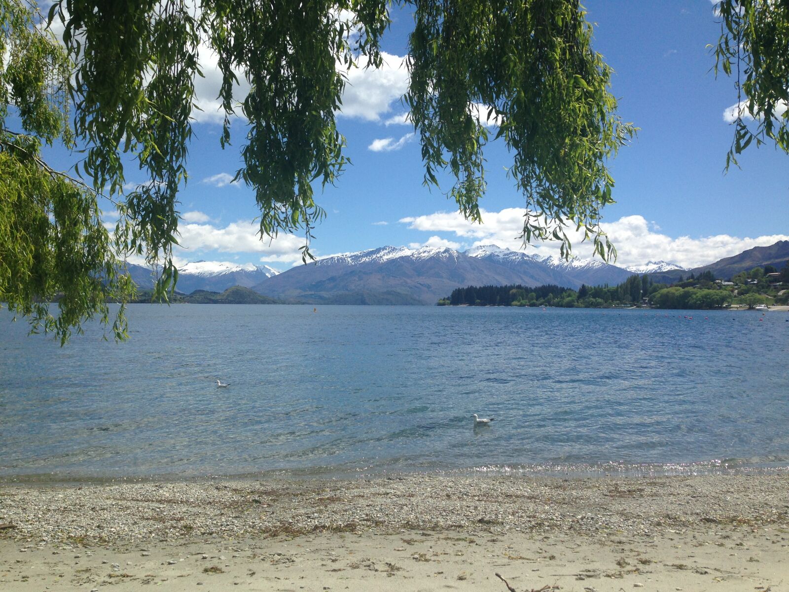 iPhone 5 back camera 4.12mm f/2.4 sample photo. Lake, sky, spring photography