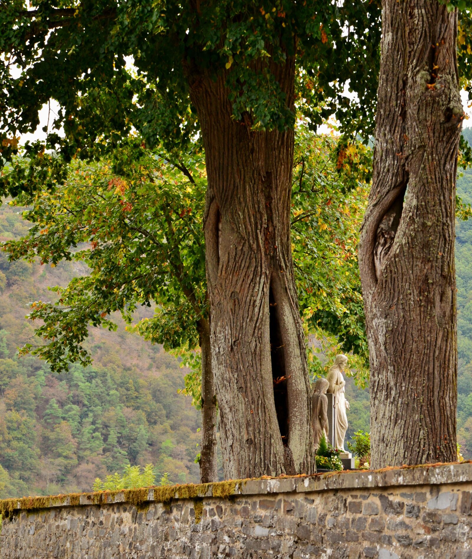 Nikon D600 sample photo. Cemetery, statues, trees photography