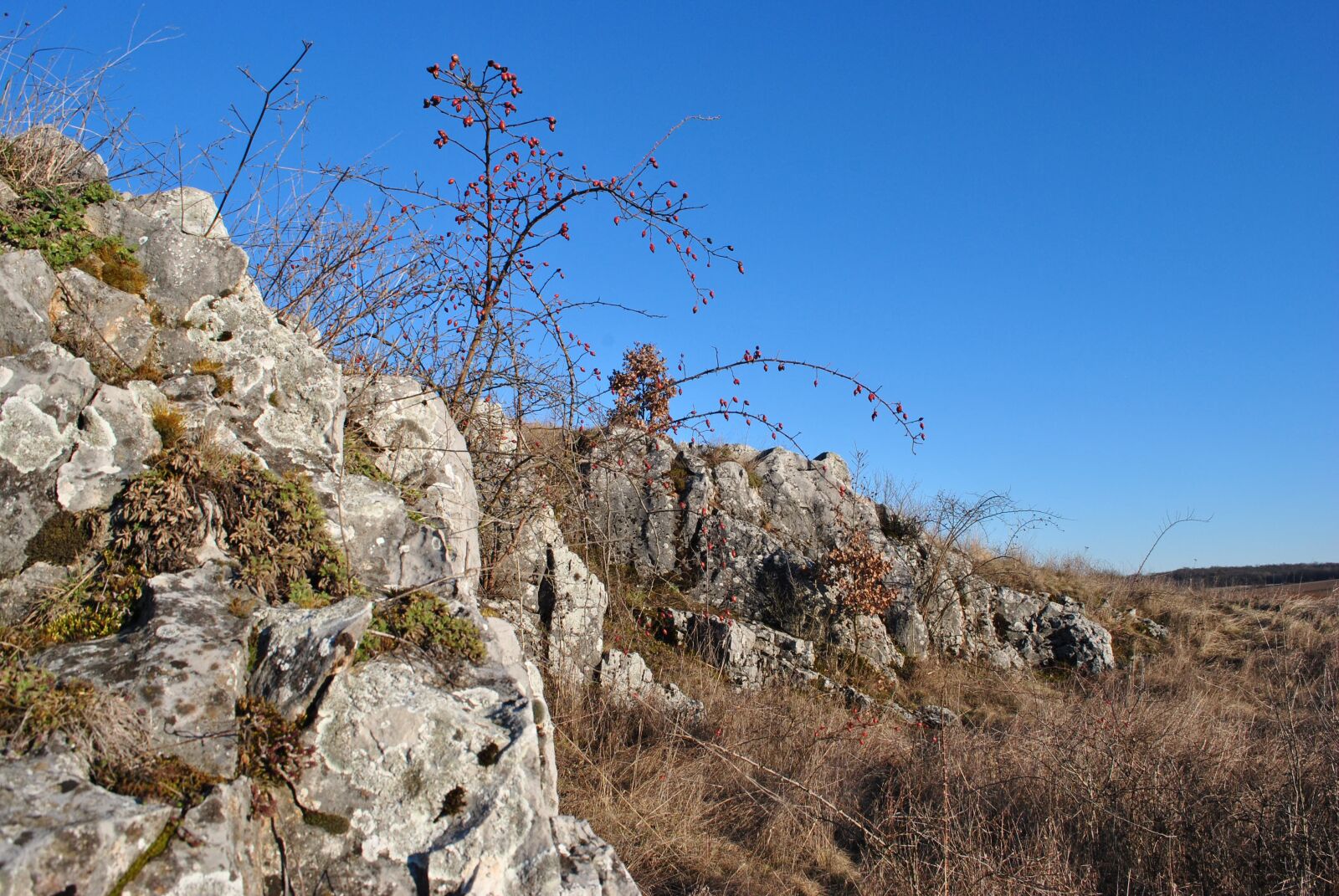Nikon D3000 sample photo. Cliff, stones, landscape photography