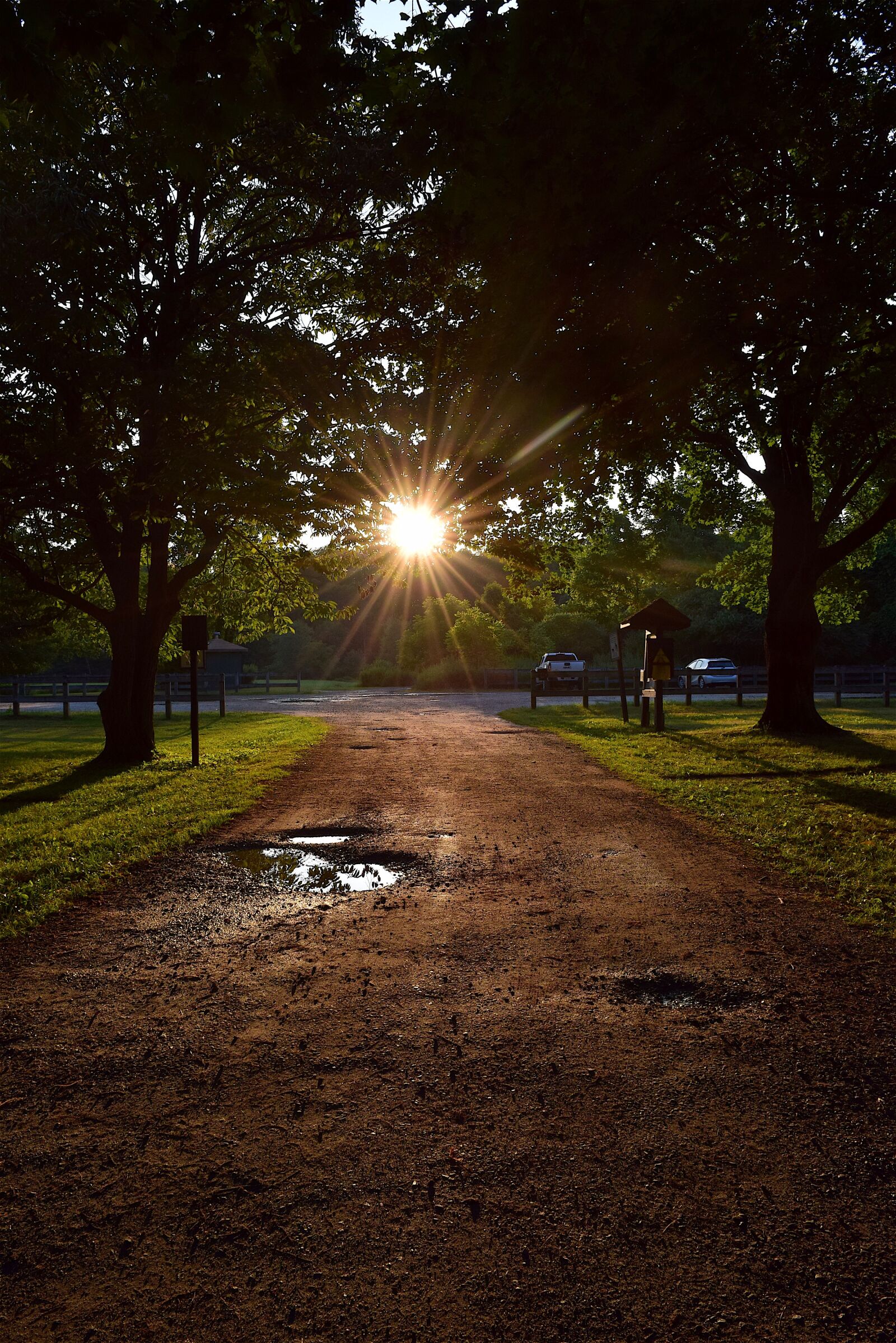 Nikon D3300 sample photo. Trees, path, sunset photography
