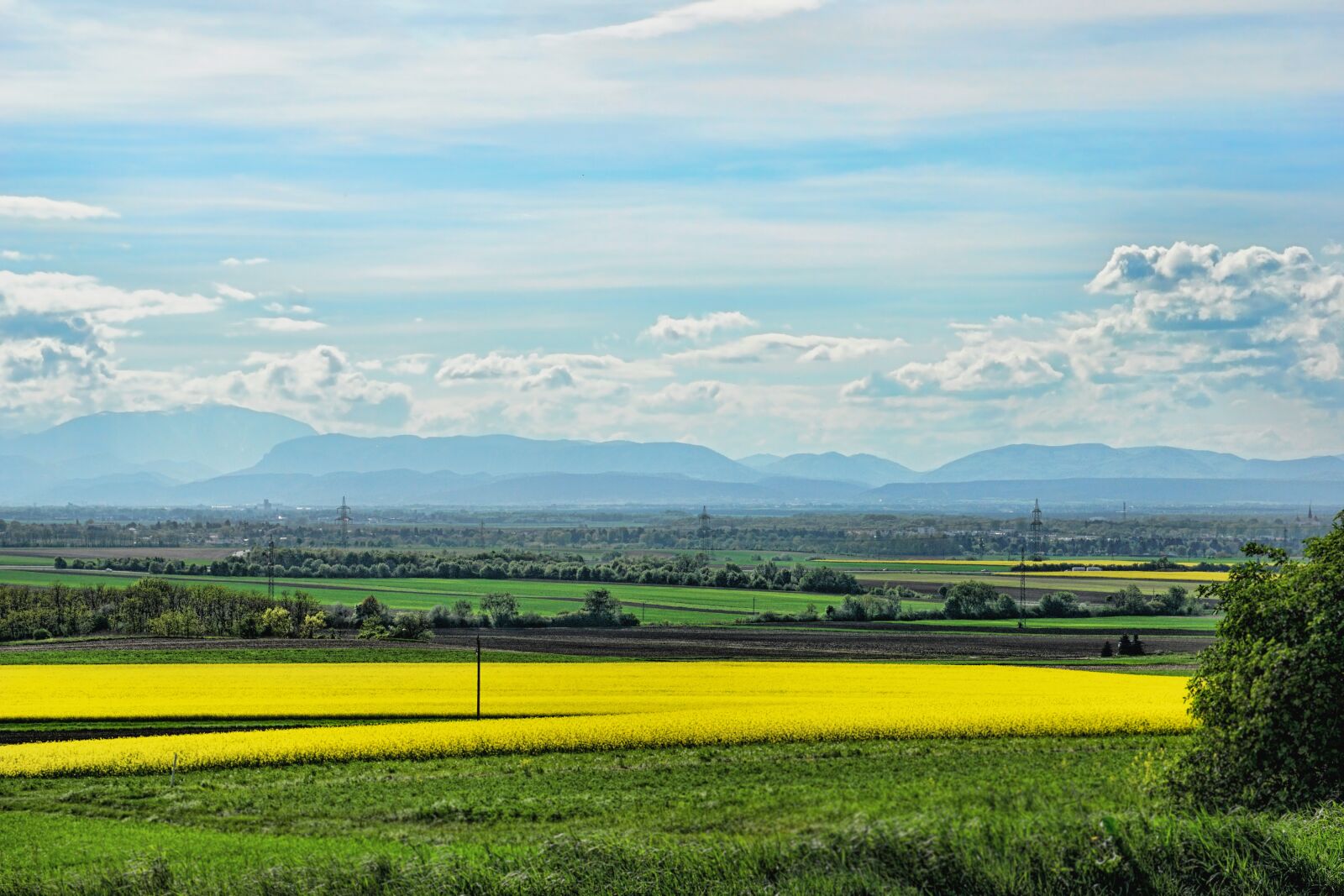 Sony E 18-135mm F3.5-5.6 OSS sample photo. Agriculture, field, nature photography