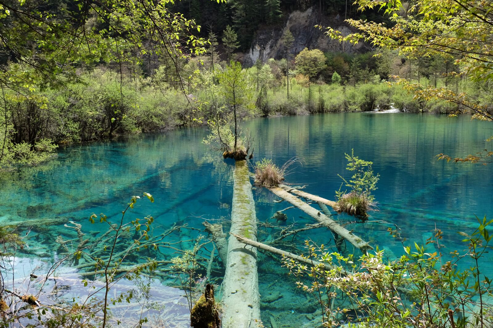 Fujifilm X100T sample photo. Jiuzhaigou, lake, sichuan photography